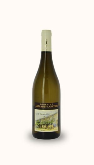 Bourgogne blanc - cuvée Valentin 2020