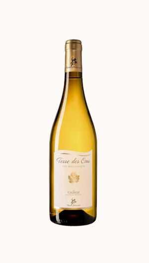 AOP Collioure Blanc - Cuvée Terre des OMS Bio